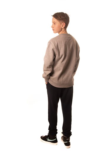 Dickies Pittsburgh Sweatshirt - Grey